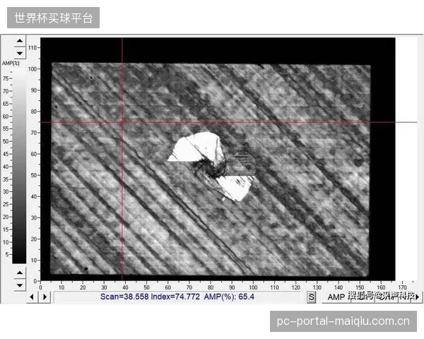 40kHz以上的高频声波，已被证明是识别碳纤维复合材料横杆内部脱粘的最有效探针